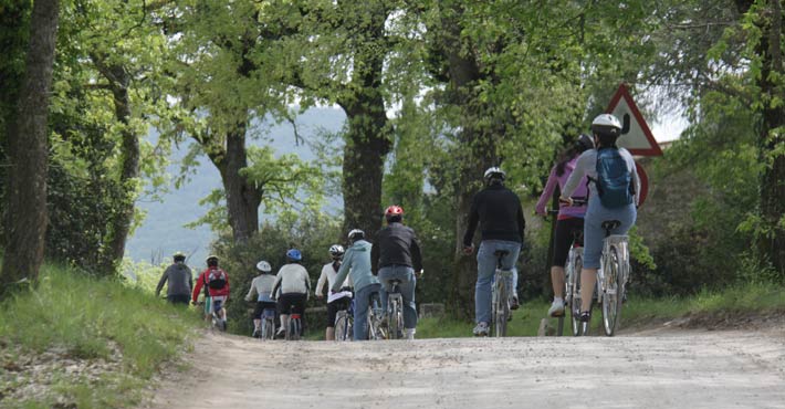 Hybrid bike Guided Tour per una grande famiglia in Castellina in Chianti