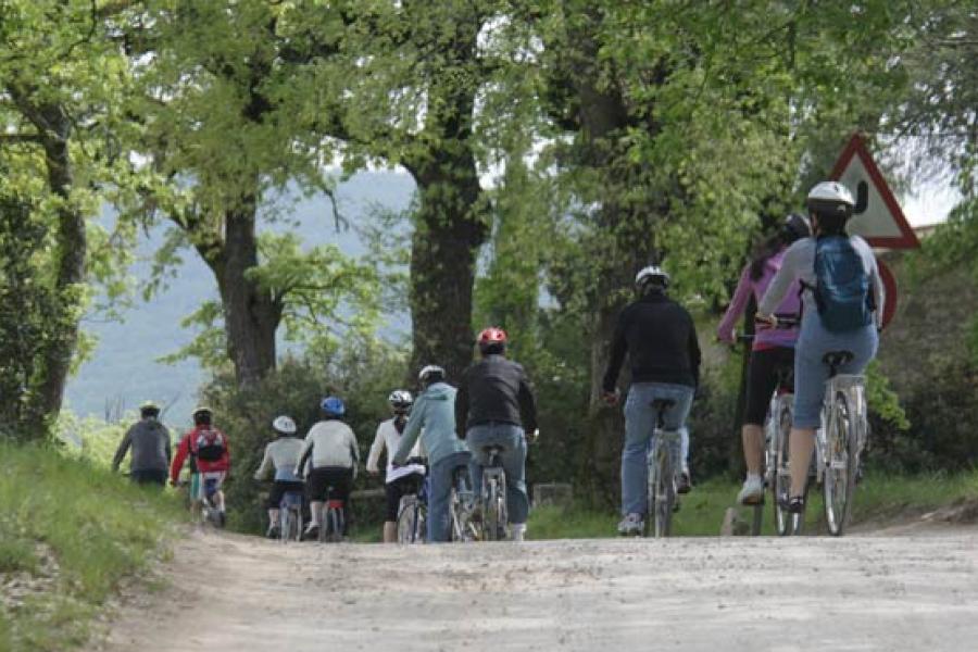 Hybrid bike Guided Tour for big family in Castellina in Chianti