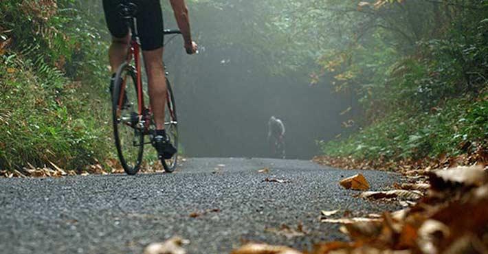 hire a Giant bike in Tuscany